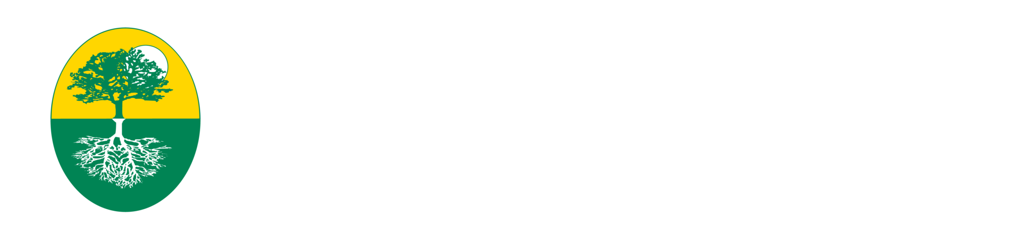 Regenesys-Education-Logo_wht-2048×483